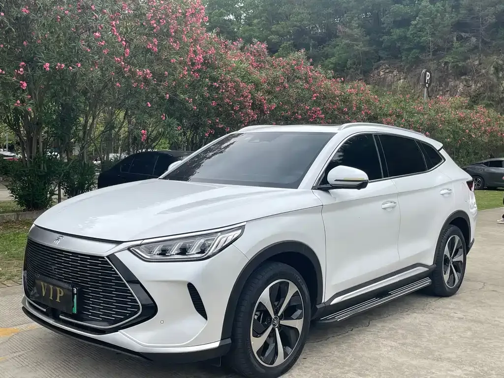 BYD PLUS New Energy — фото 1