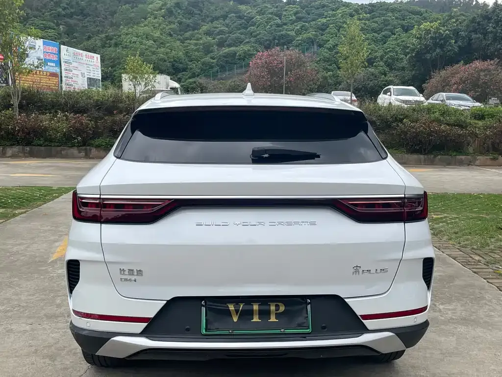 BYD PLUS New Energy — фото 9