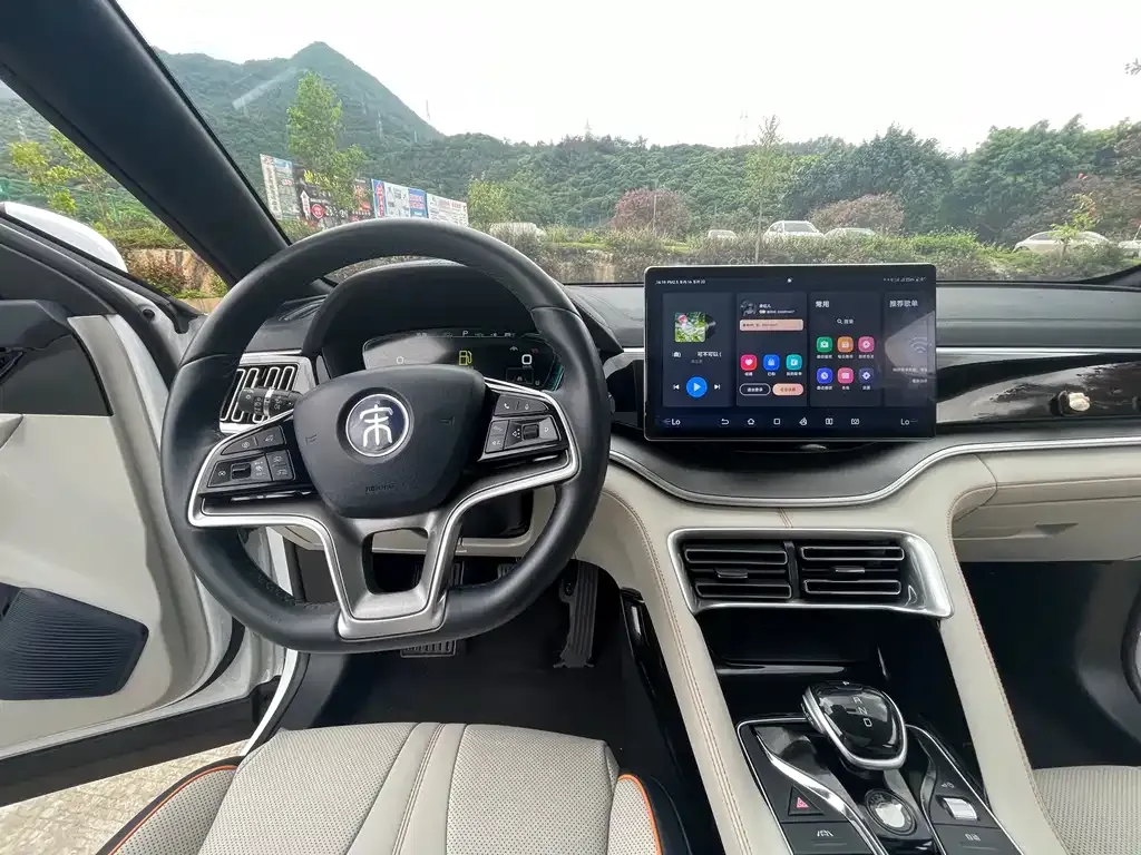 BYD PLUS New Energy — фото 10