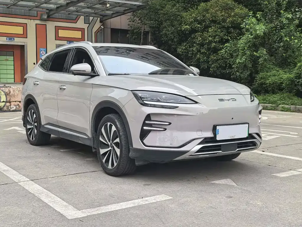 BYD PLUS New Energy — фото 8
