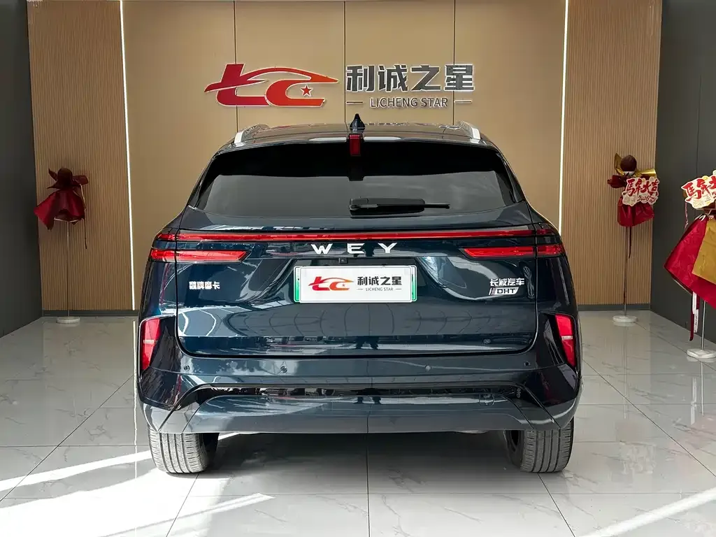 Wey Mocha New Energy 2023 из CN, фото 6