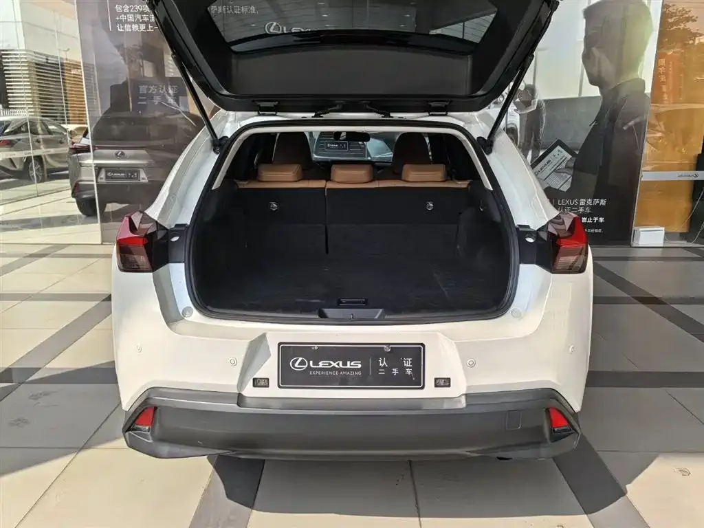 Lexus UX 2023 из CN, фото 5