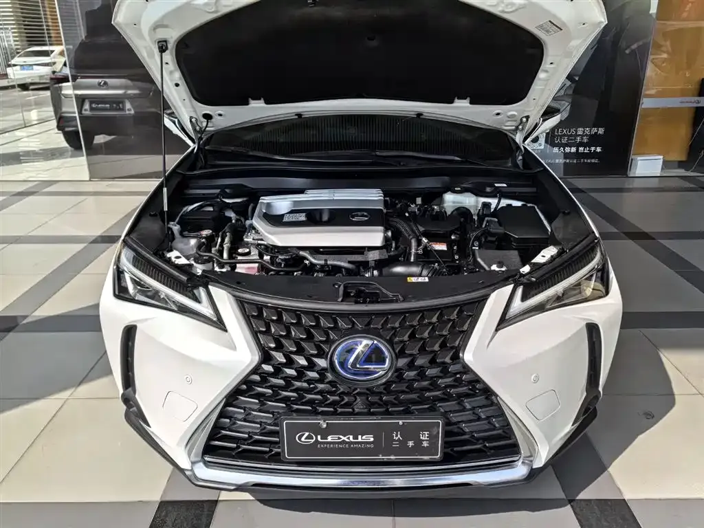 Lexus UX 2023 из CN, фото 7