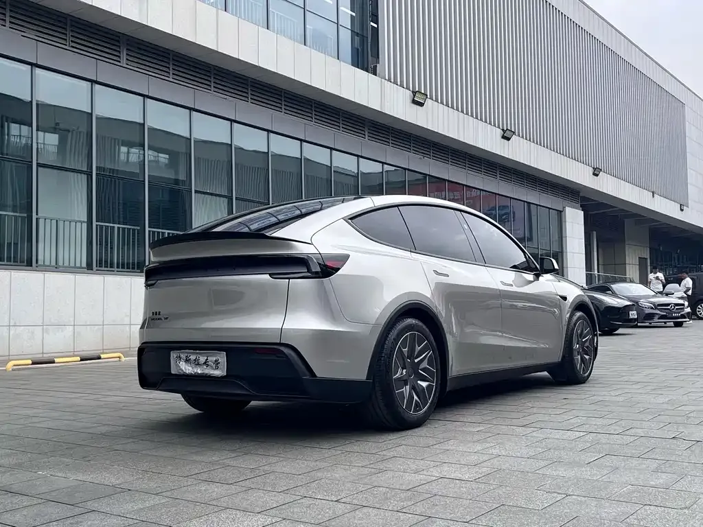 Tesla Model Y L 2025 из CN, фото 8