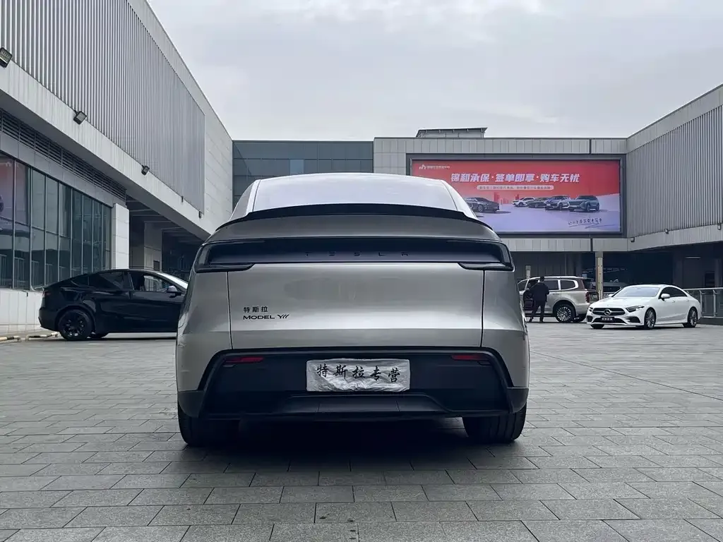 Tesla Model Y L 2025 из CN, фото 4
