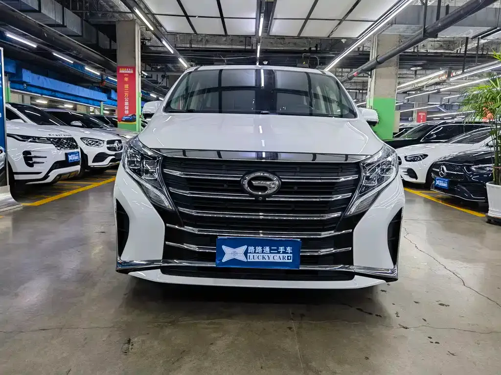 GAC Motor Trumpchi M8 2024 из CN, фото 9