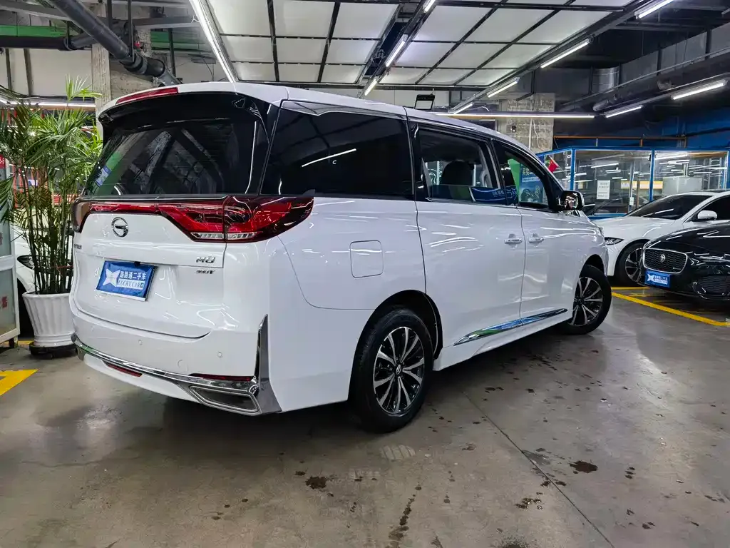 GAC Motor Trumpchi M8 2024 из CN, фото 8