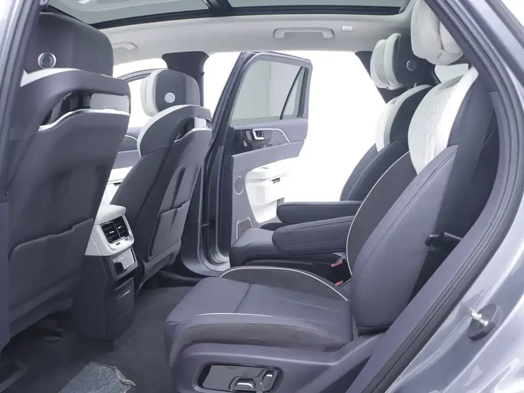 Hongqi E-HS9 2023 из CN, фото 10