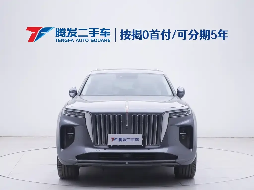 Hongqi E-HS9 2023 из CN, фото 4