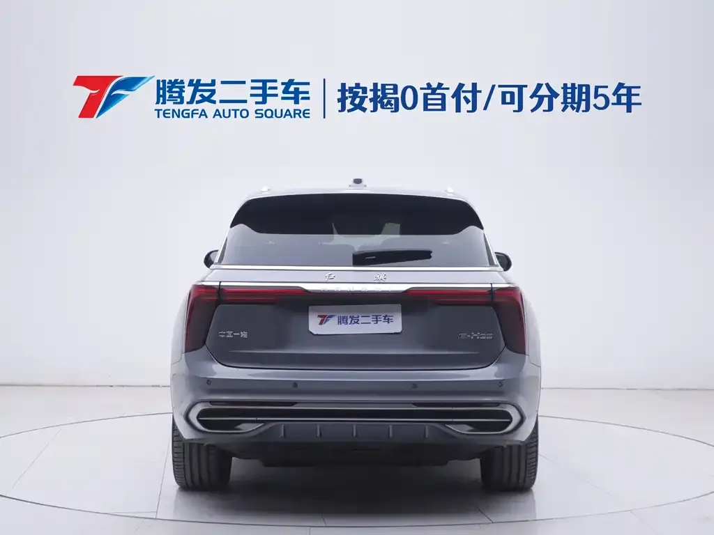 Hongqi E-HS9 2023 из CN, фото 2