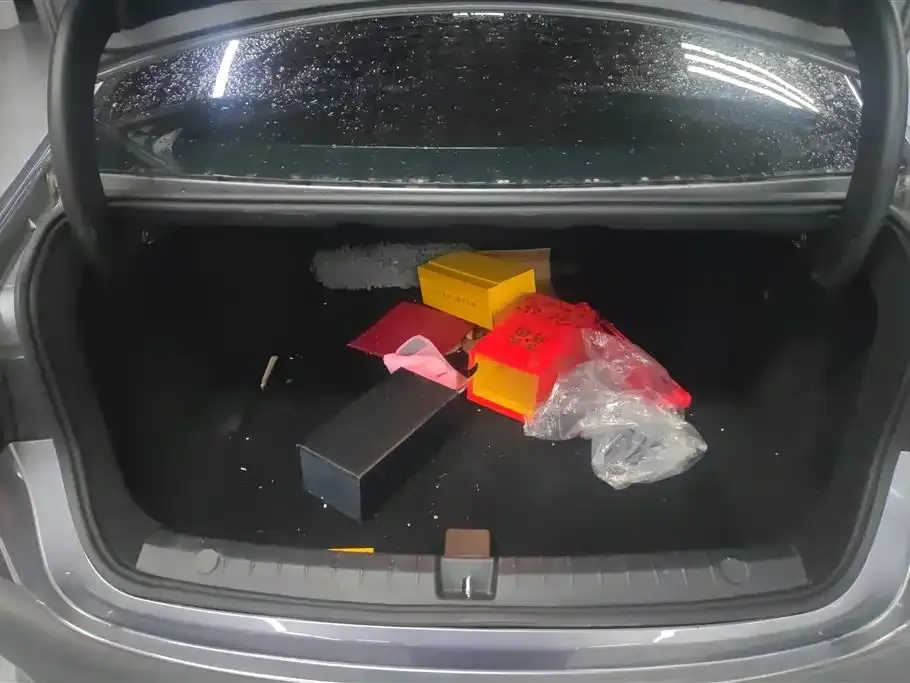 BYD Qin PLUS 2023 из CN, фото 9