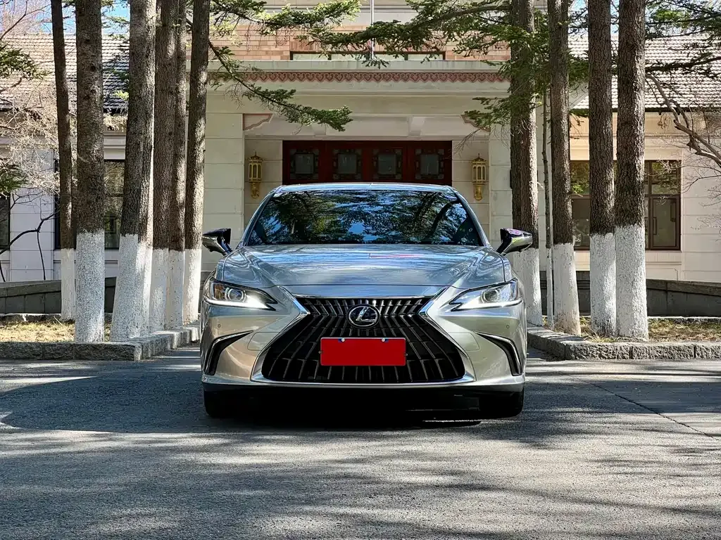 Lexus ES 2024 из CN, фото 4