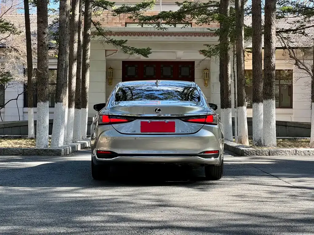 Lexus ES 2024 из CN, фото 8
