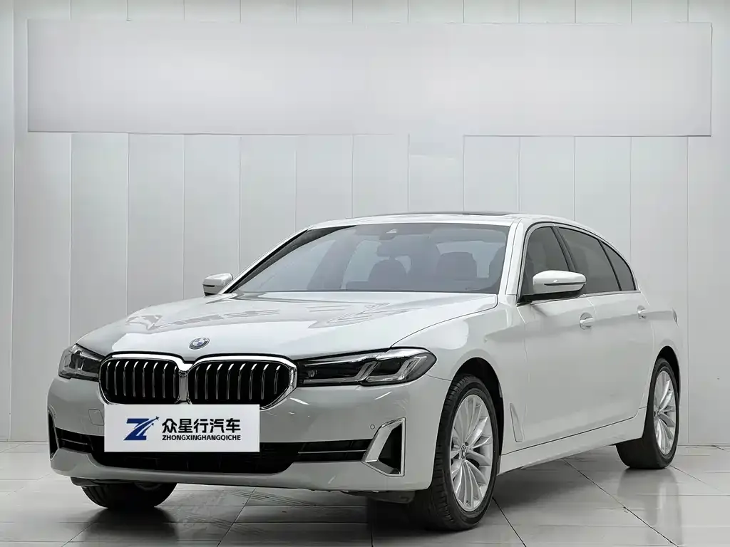 BMW 5 Series 2022 из CN, фото 1