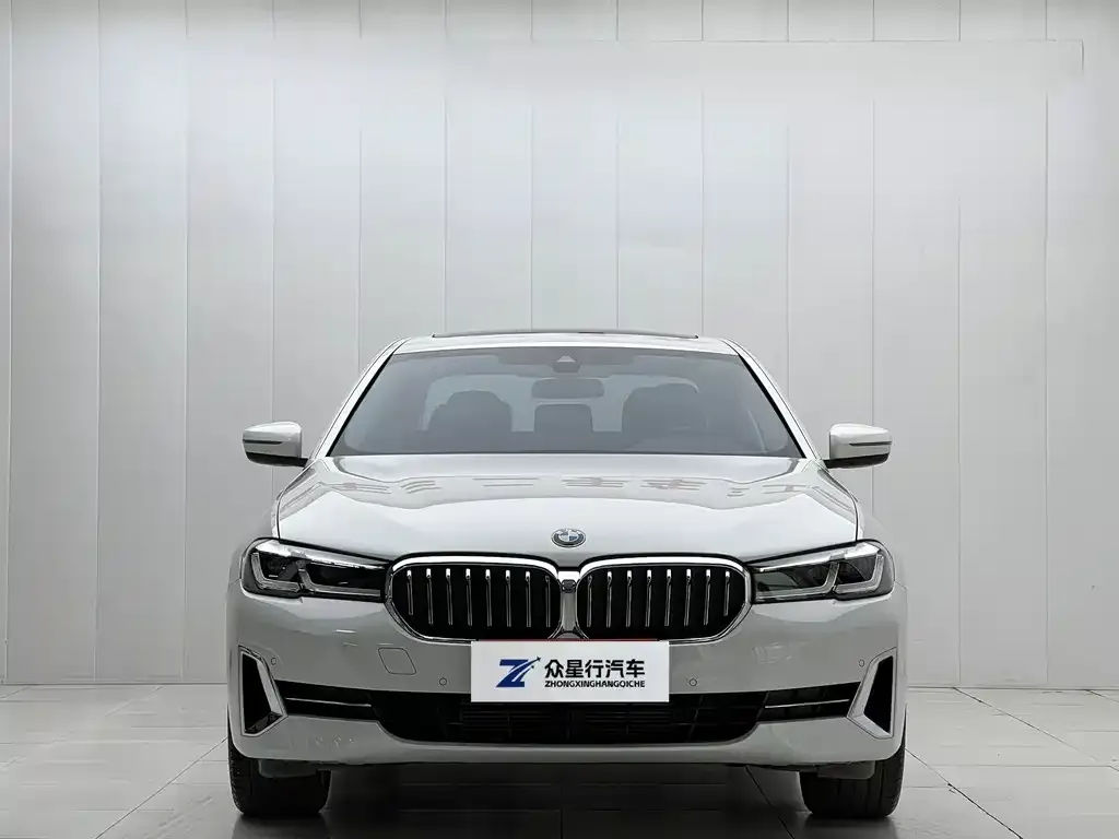 BMW 5 Series 2022 из CN, фото 3