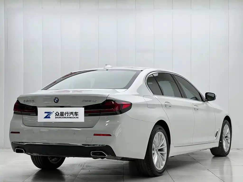 BMW 5 Series 2022 из CN, фото 4