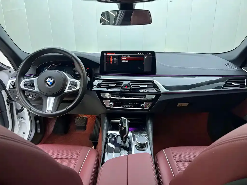 BMW 5 Series 2022 из CN, фото 5