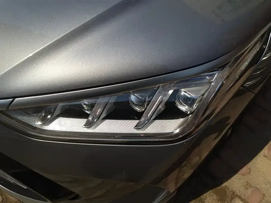 BYD PLUS New Energy 2022 из CN, фото 4