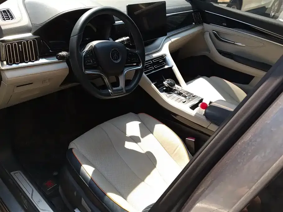 BYD PLUS New Energy 2022 из CN, фото 7