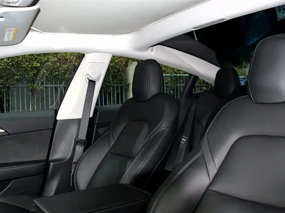 Tesla Model 3 2022 из CN, фото 3