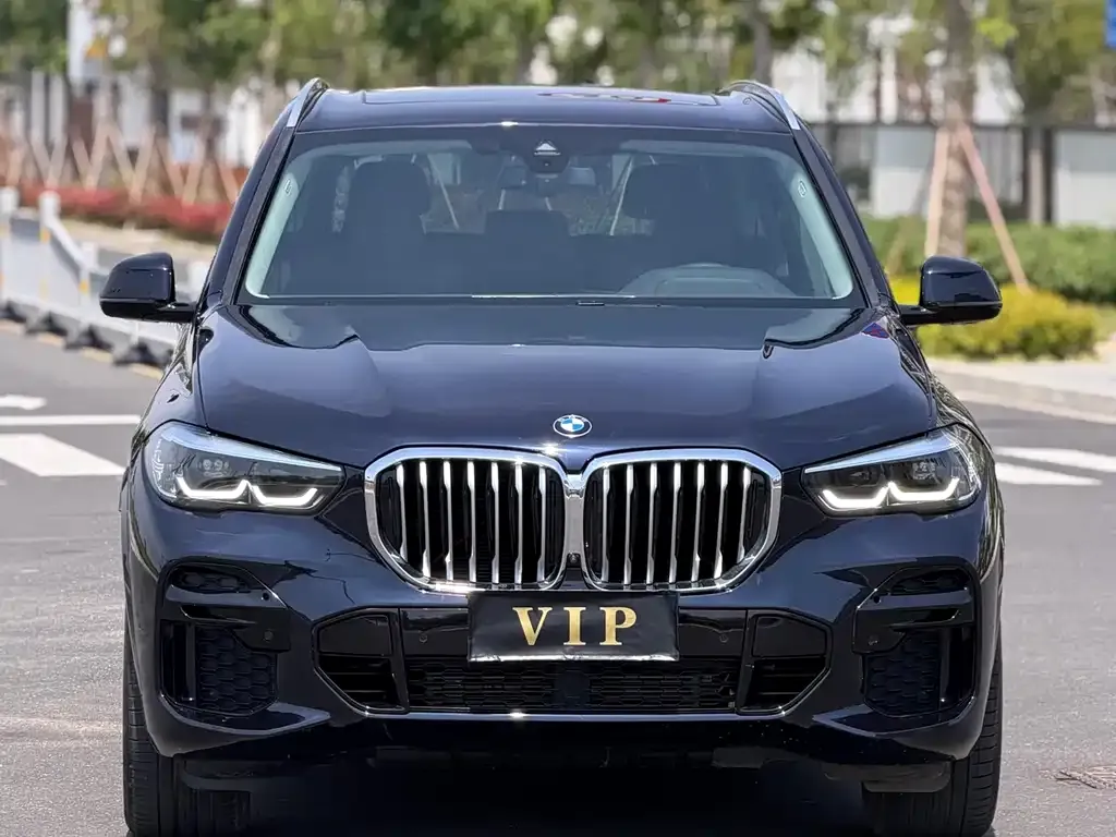 BMW X5 (Import) 2022 из CN, фото 3