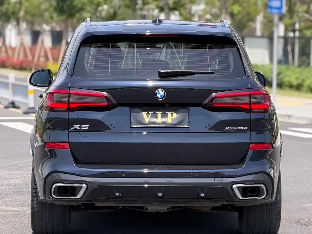 BMW X5 (Import) 2022 из CN, фото 5