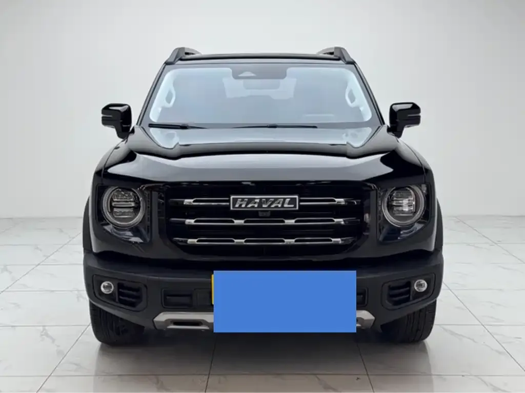 Haval Big Dog 2023 из CN, фото 2