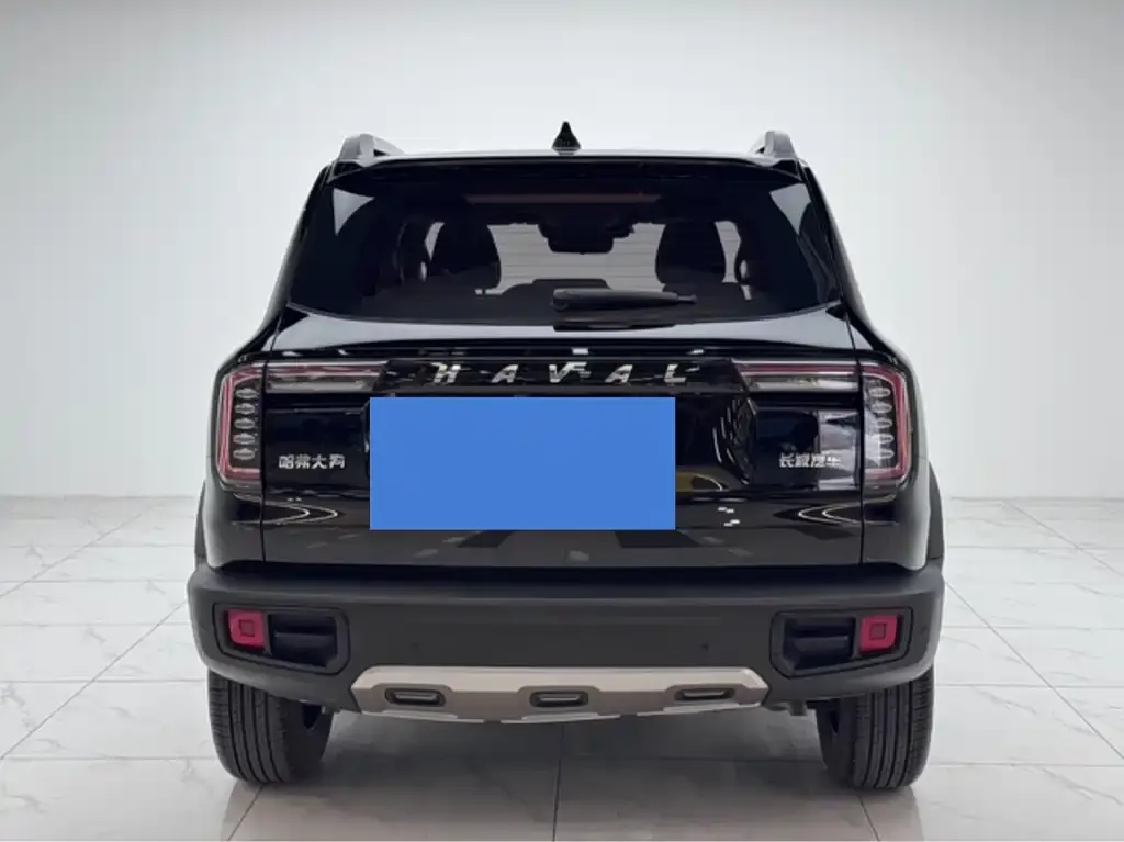 Haval Big Dog 2023 из CN, фото 6