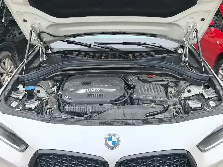 BMW X2 2023 из CN, фото 9