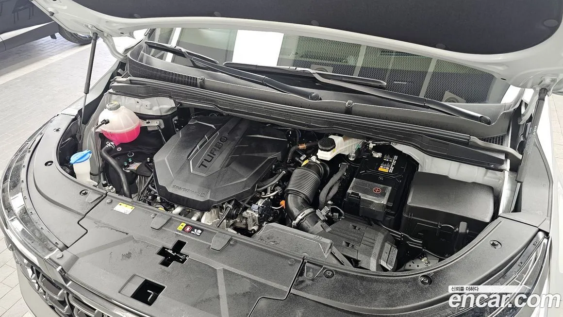 Kia Carnival — фото 10