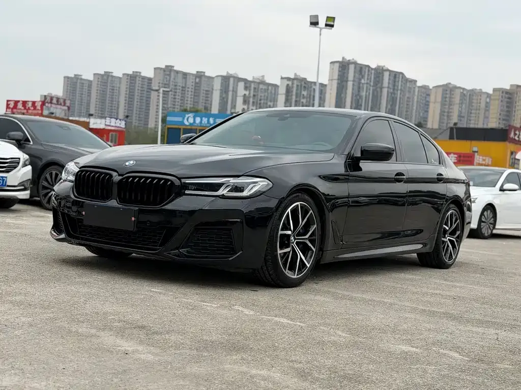 BMW 5 Series (Import) 2021 из CN, фото 1