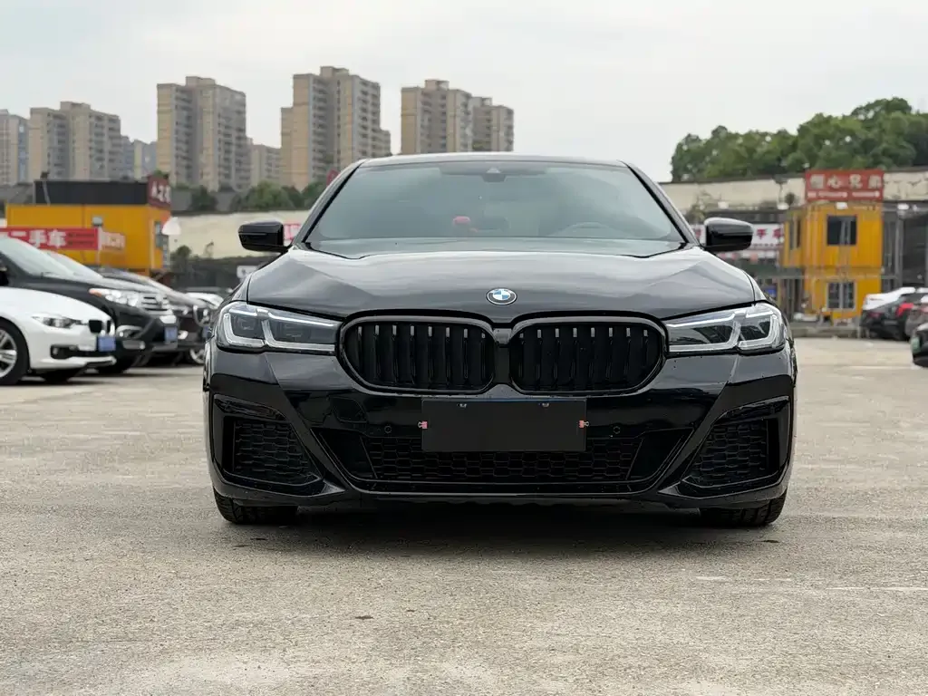 BMW 5 Series (Import) 2021 из CN, фото 7