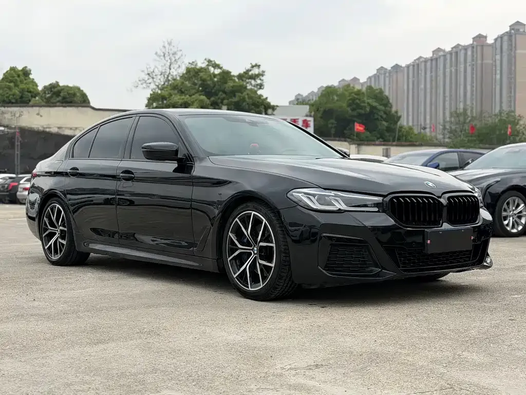 BMW 5 Series (Import) 2021 из CN, фото 9