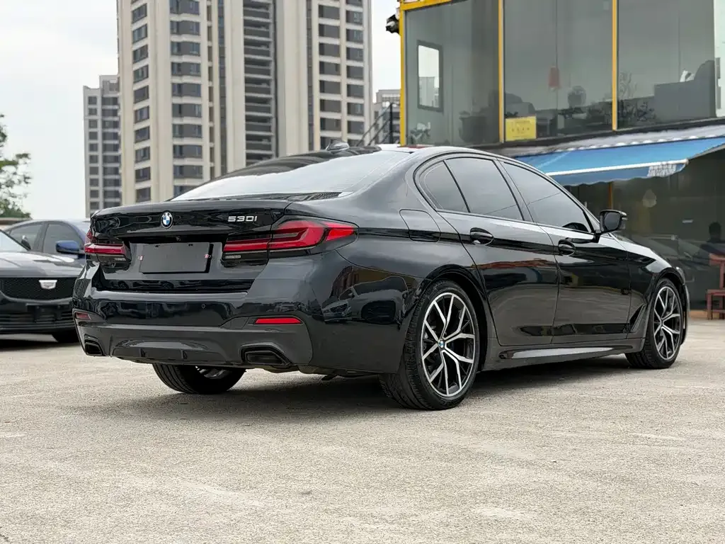 BMW 5 Series (Import) 2021 из CN, фото 8