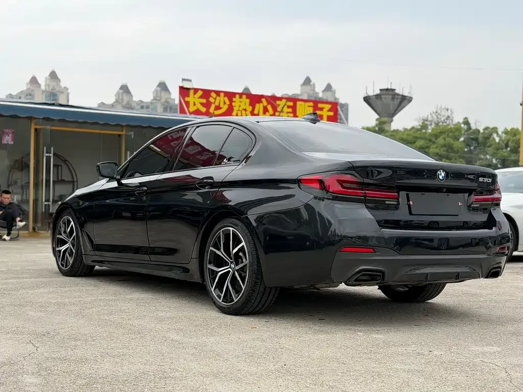 BMW 5 Series (Import) 2021 из CN, фото 4