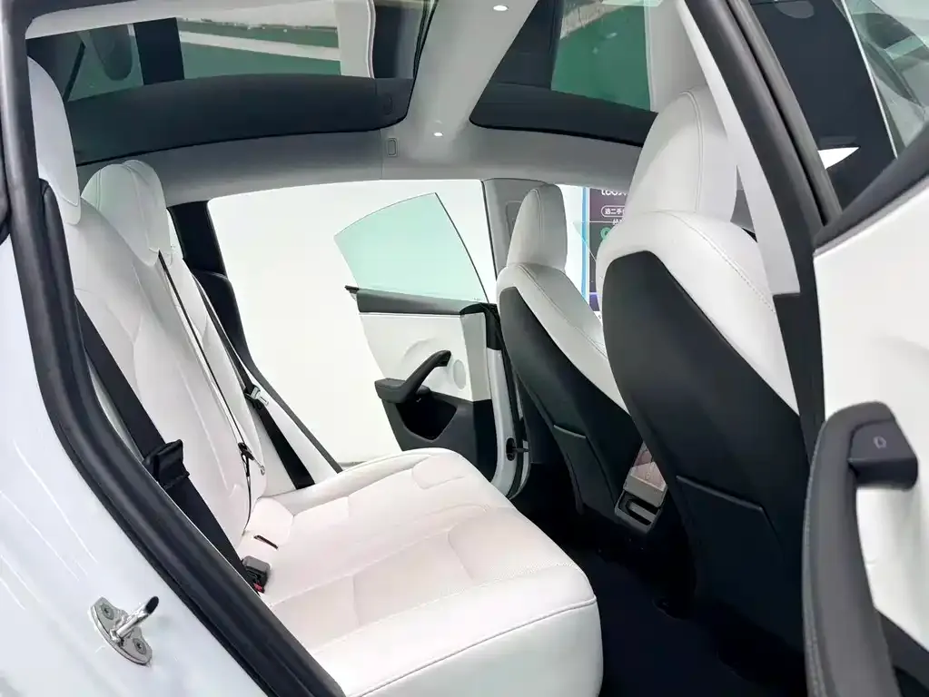 Tesla Model 3 2024 из CN, фото 3