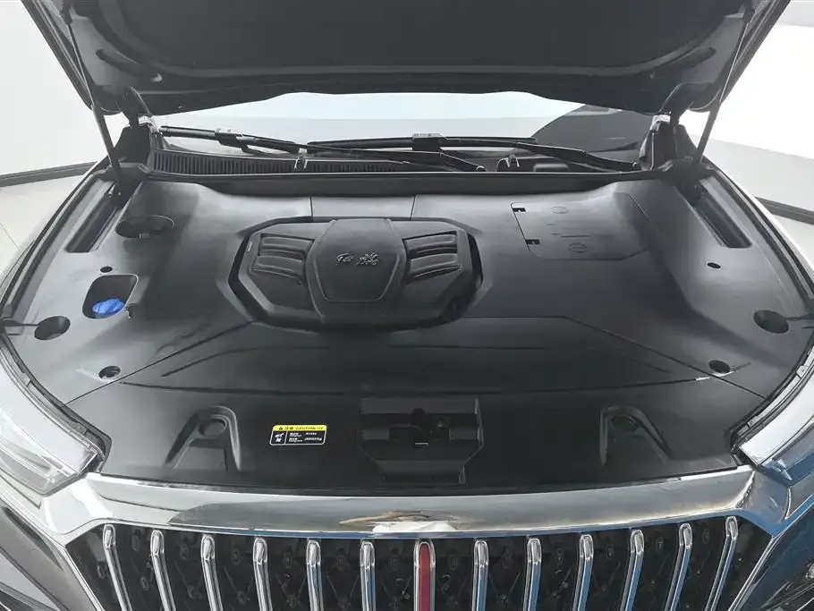 Hongqi HS5 2023 из CN, фото 9