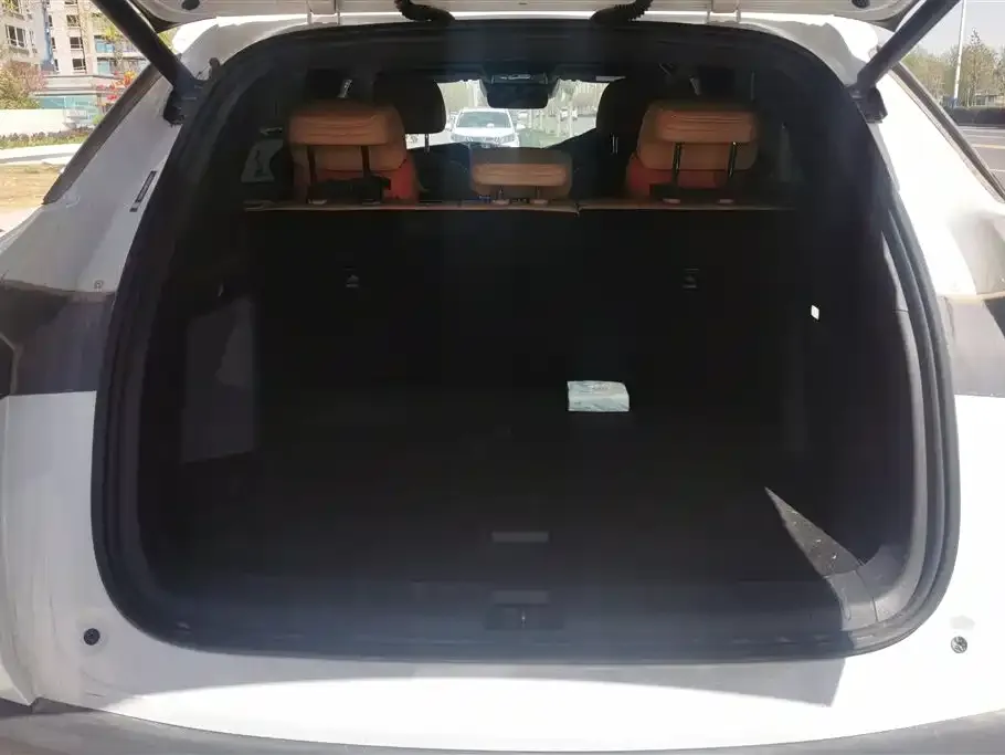 BYD L DM-i — фото 3