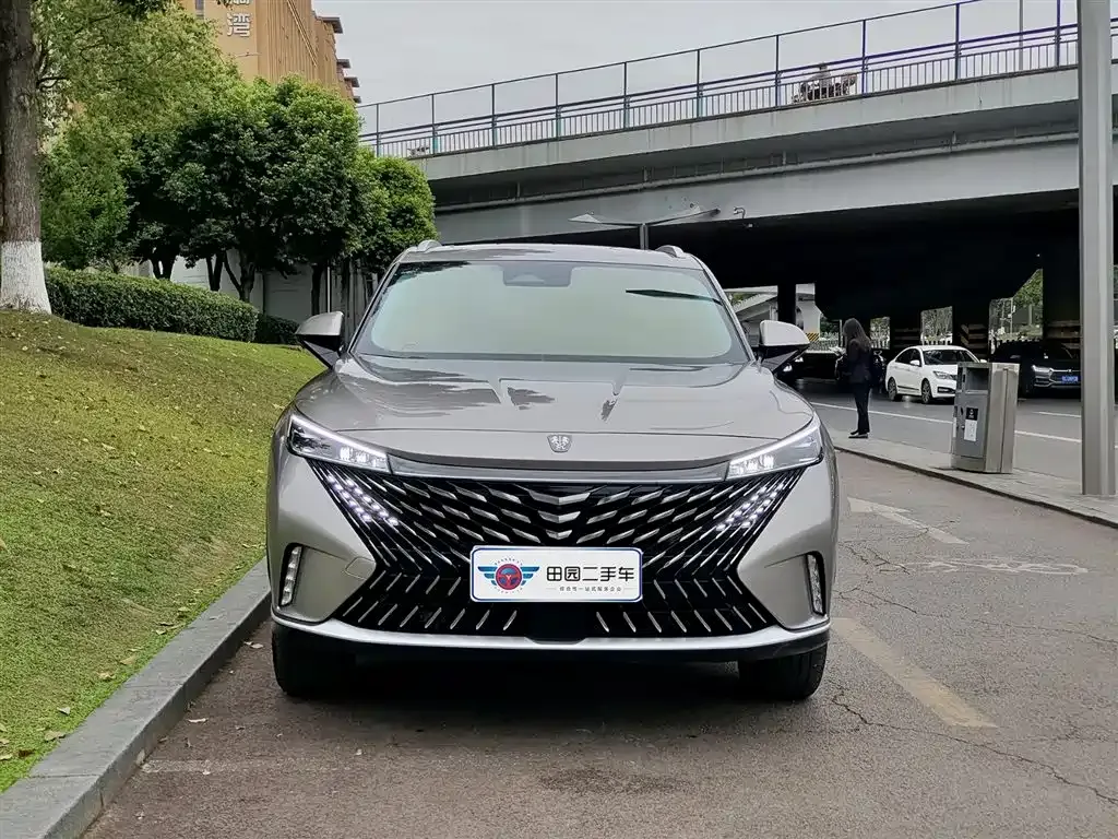 Roewe RX5 New Energy 2024 из CN, фото 10