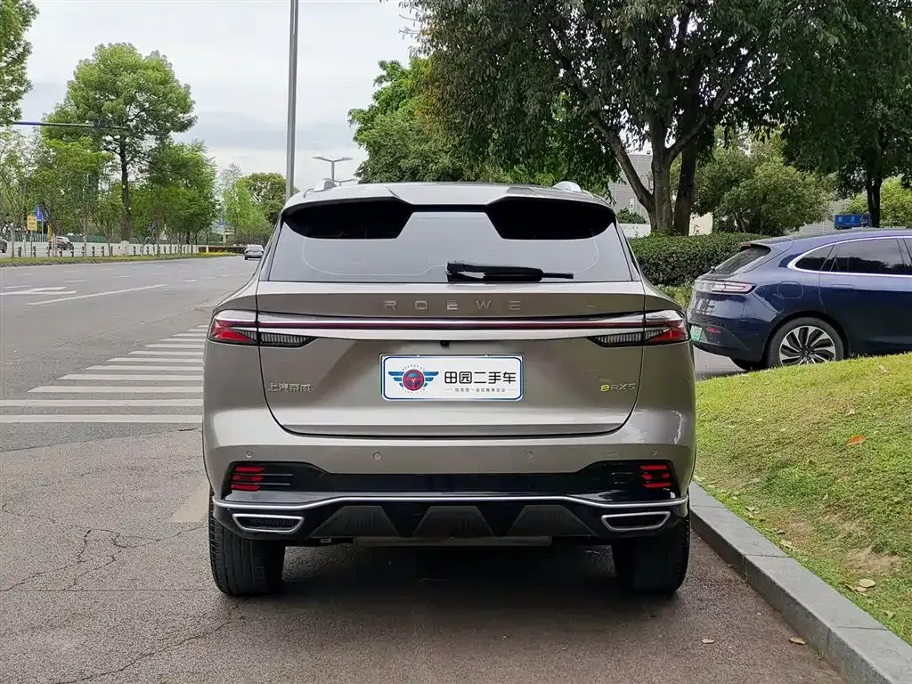 Roewe RX5 New Energy 2024 из CN, фото 6