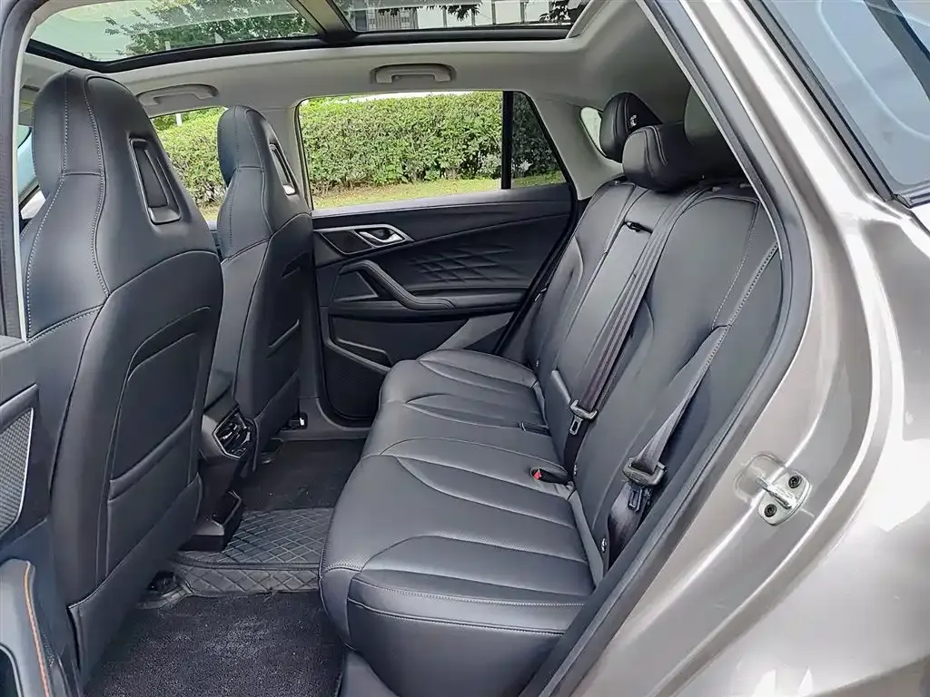 Roewe RX5 New Energy 2024 из CN, фото 3