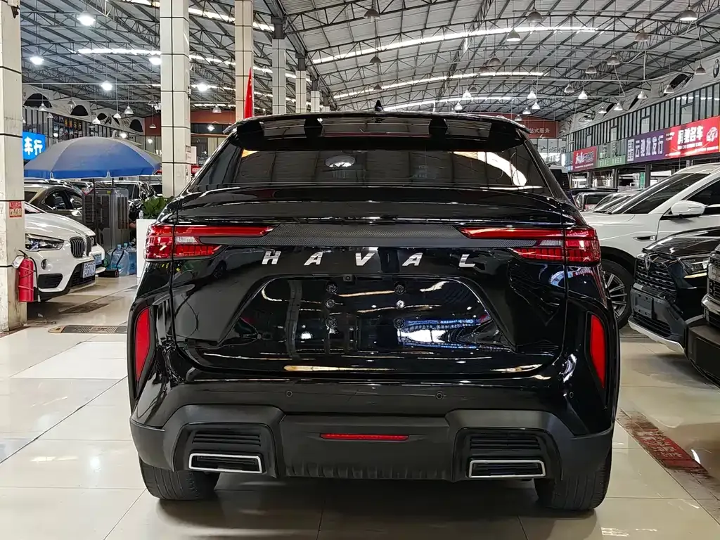 Haval H6S 2022 из CN, фото 6