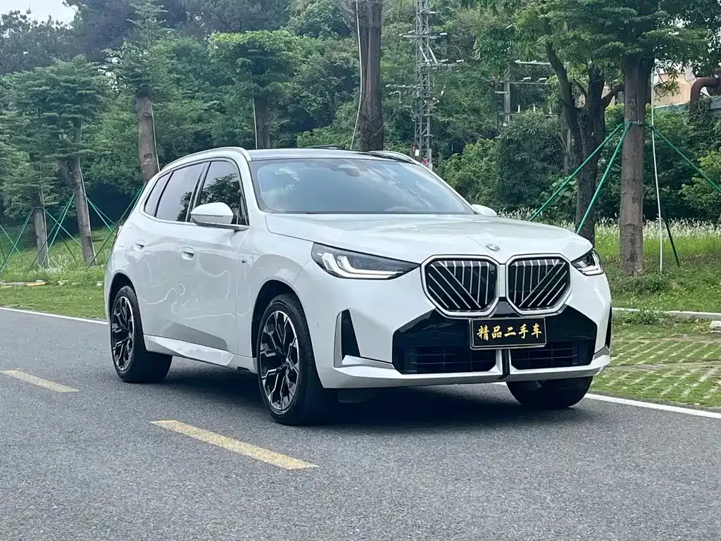 BMW X3 — фото 10