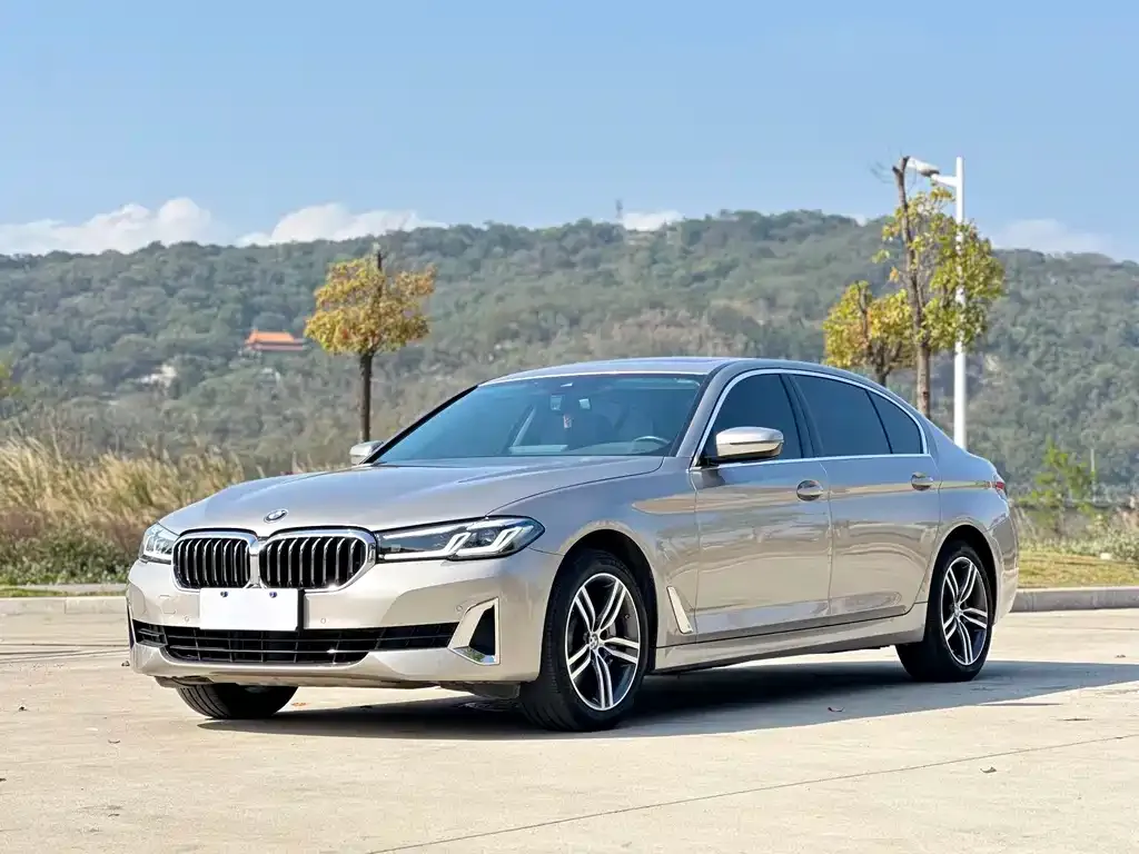 BMW 5 Series 2021 из CN, фото 1
