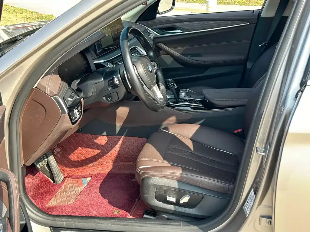 BMW 5 Series 2021 из CN, фото 6