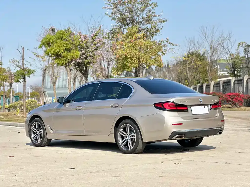 BMW 5 Series 2021 из CN, фото 9