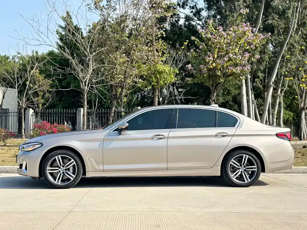 BMW 5 Series 2021 из CN, фото 10