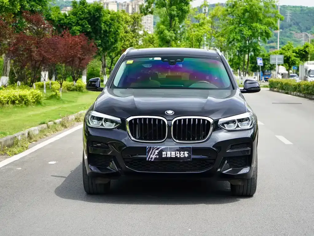 BMW X3 2021 из CN, фото 9