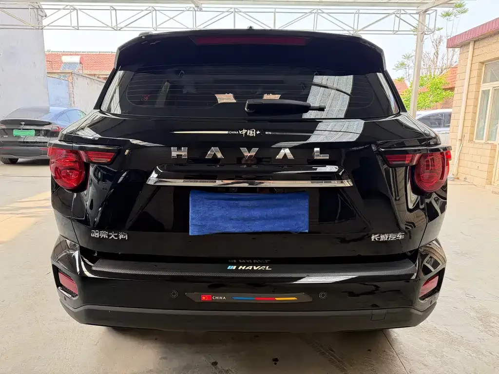 Haval H7 (Big Dog Plus) 2024 из CN, фото 8
