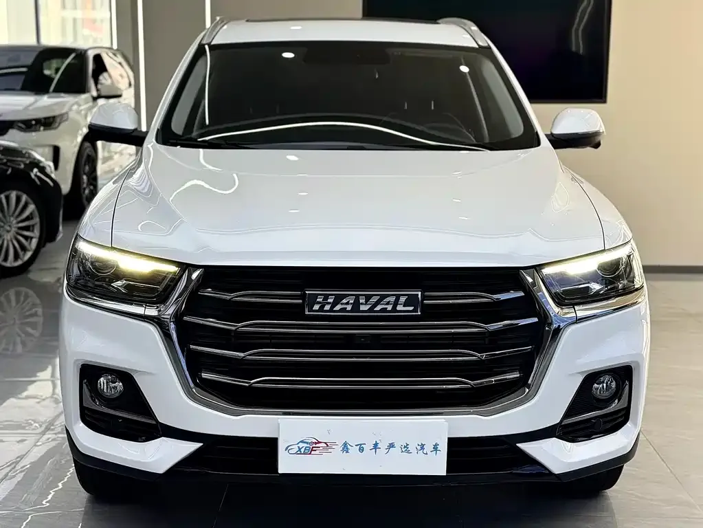 Haval H6 2023 из CN, фото 5